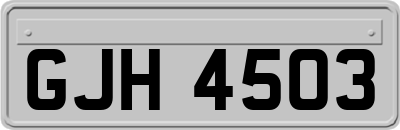 GJH4503
