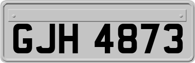GJH4873