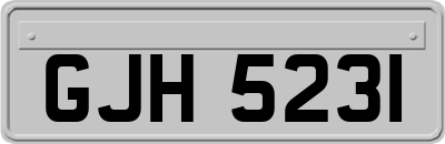 GJH5231