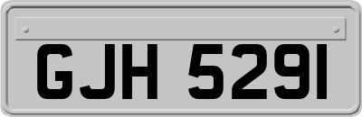 GJH5291