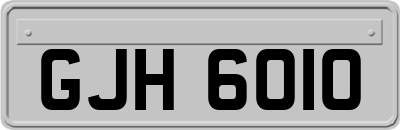 GJH6010