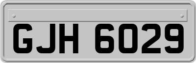 GJH6029