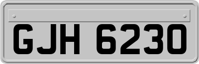 GJH6230