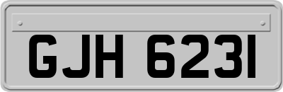 GJH6231