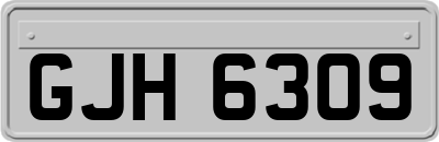 GJH6309