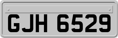 GJH6529
