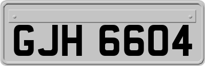 GJH6604