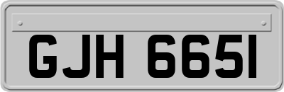 GJH6651