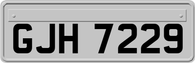 GJH7229