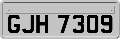 GJH7309