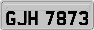 GJH7873