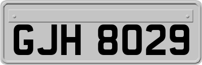 GJH8029