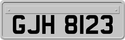 GJH8123