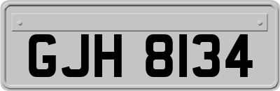 GJH8134