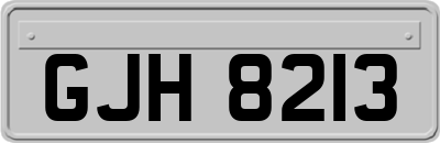 GJH8213