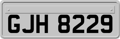 GJH8229
