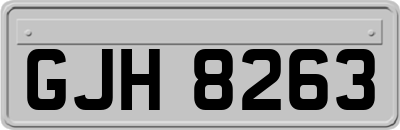 GJH8263