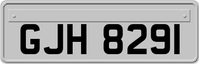 GJH8291