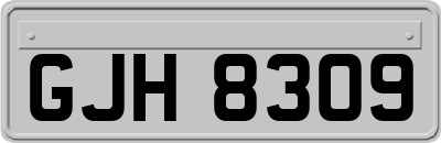 GJH8309