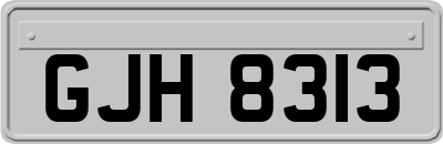 GJH8313
