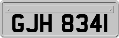 GJH8341