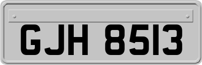 GJH8513
