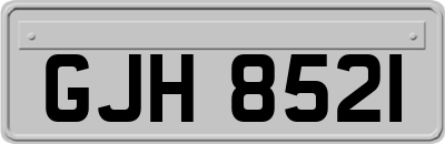 GJH8521