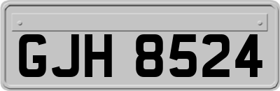 GJH8524