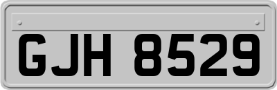 GJH8529