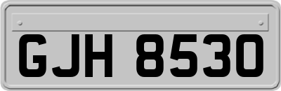 GJH8530