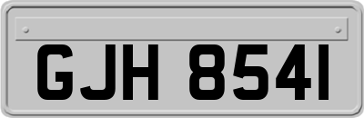 GJH8541