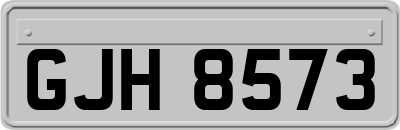 GJH8573