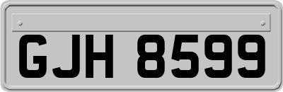GJH8599