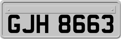 GJH8663