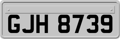 GJH8739
