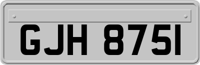 GJH8751