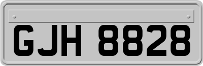 GJH8828