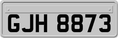 GJH8873