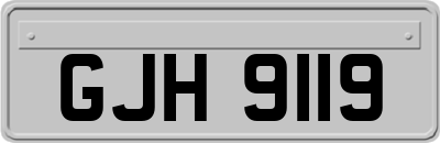 GJH9119