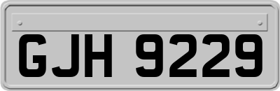 GJH9229