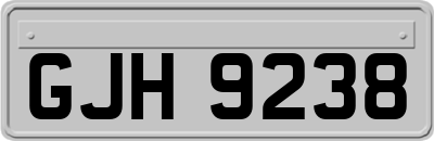 GJH9238