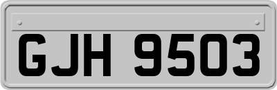 GJH9503