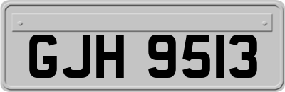 GJH9513