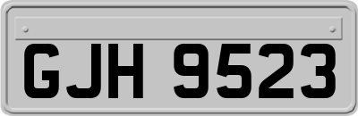 GJH9523