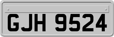 GJH9524