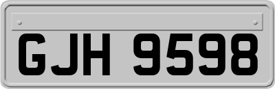 GJH9598