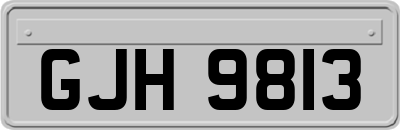 GJH9813