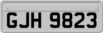 GJH9823