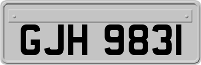 GJH9831