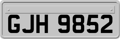 GJH9852